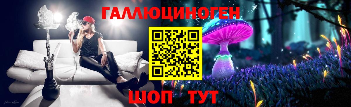Майский  Галлюциногенные грибы Psilocybe  Вход с VPN 